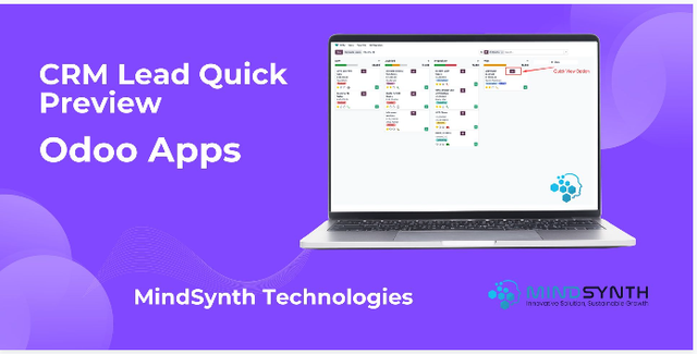 CRM Lead Quick Preview